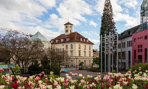 Ladenreinigung in Sindelfingen